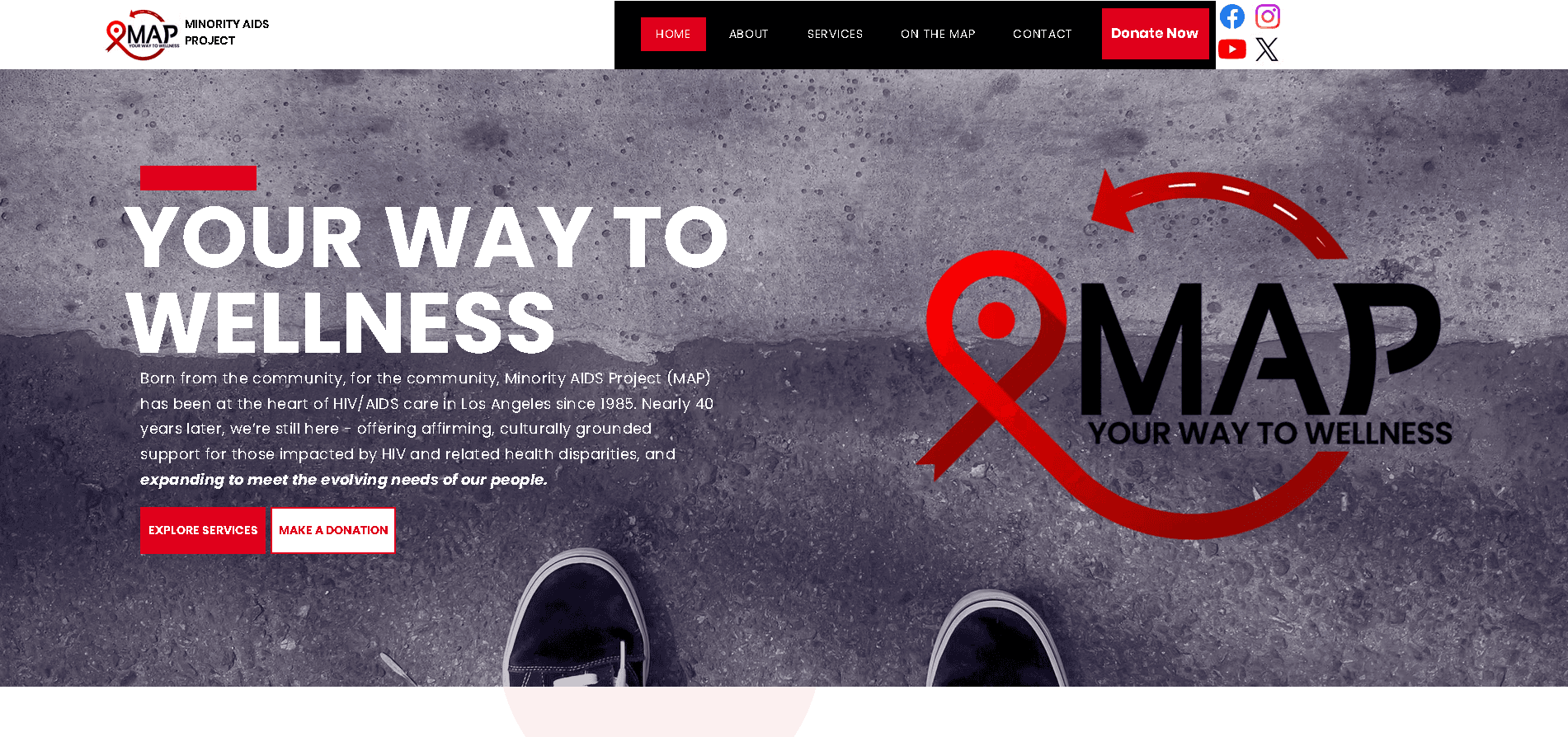 Minority Aids Project (MAP)